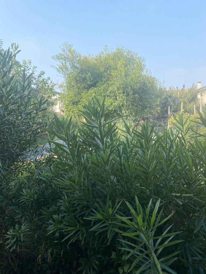 B&B Le Rose Villafranca Padovana Εξωτερικό φωτογραφία